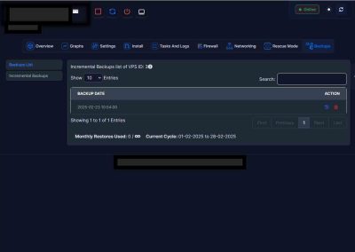 VPS Hosting Vertualizor
